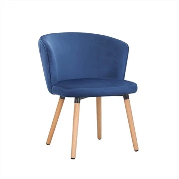 Velvet Accent Chair Bočna stolica za slobodno vrijeme